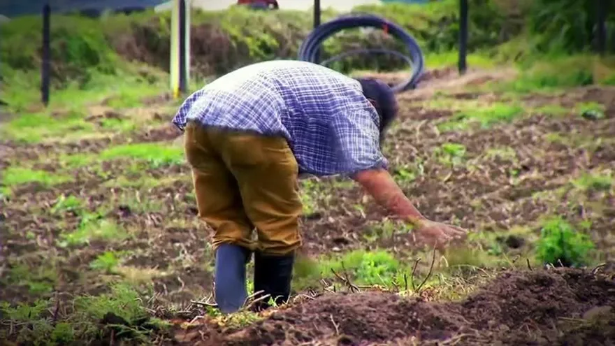 La esperanza de nuestra tierra