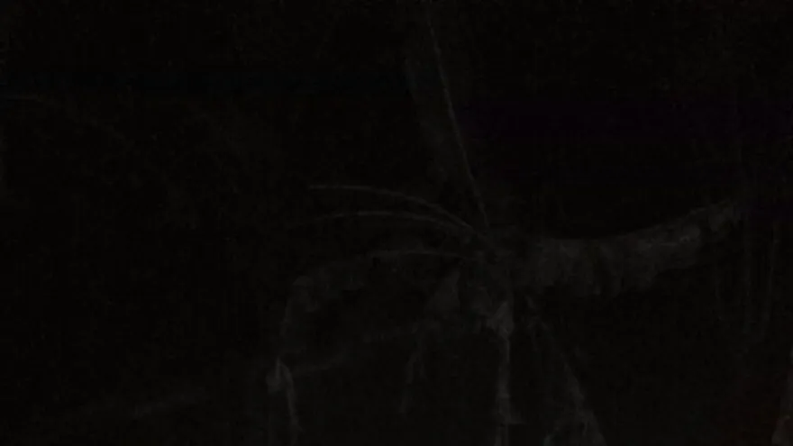 Accidente de tránsito registrado la noche de este viernes en Bocas del Toro