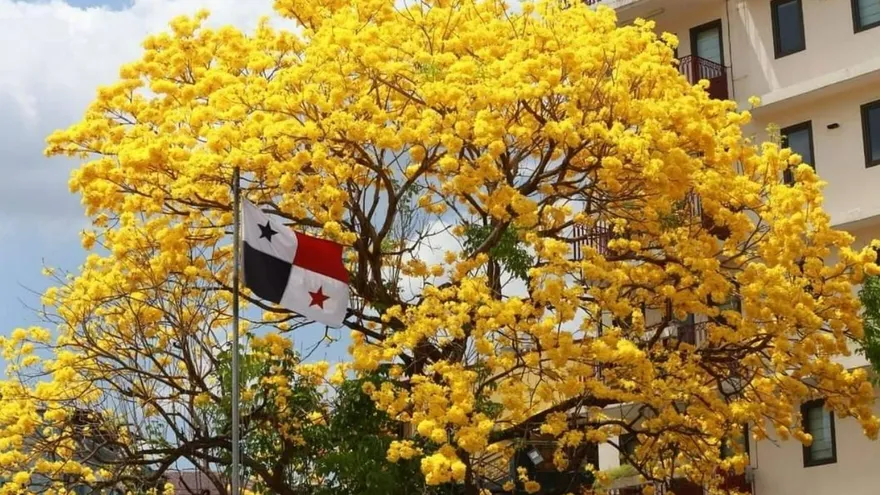 Federación de Clubes de Jardinería de Panamá gana premio 'Pl