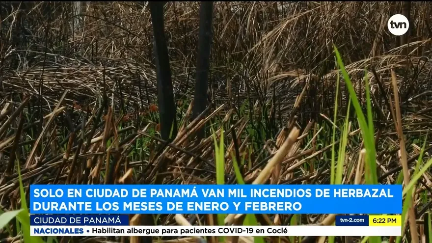Preocupación por aumento de incendios de herbazales en Panamá