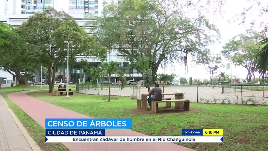 Ubican árboles enfermos