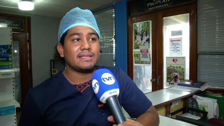 Le arrojan agua hirviendo a perro en Juan Díaz