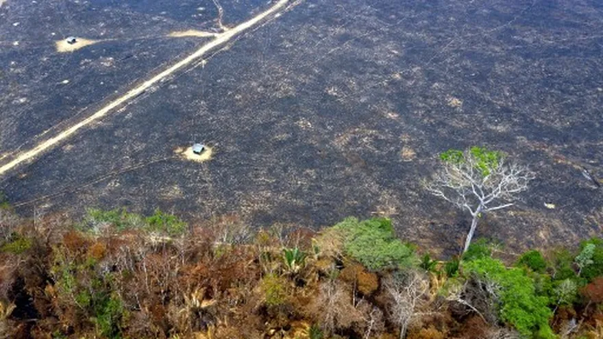 Vista aérea de las áreas quemadas de la selva amazónica, cerca de Porto Velho, estado de Rondonia, Brasil.