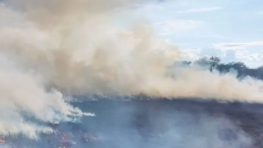 Bomberos de la Zona Regional de Veraguas