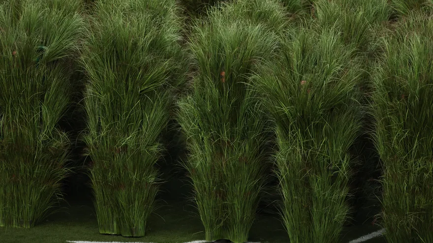 Arbustos usados en la presentación de Bad Bunny en el Super Bowl