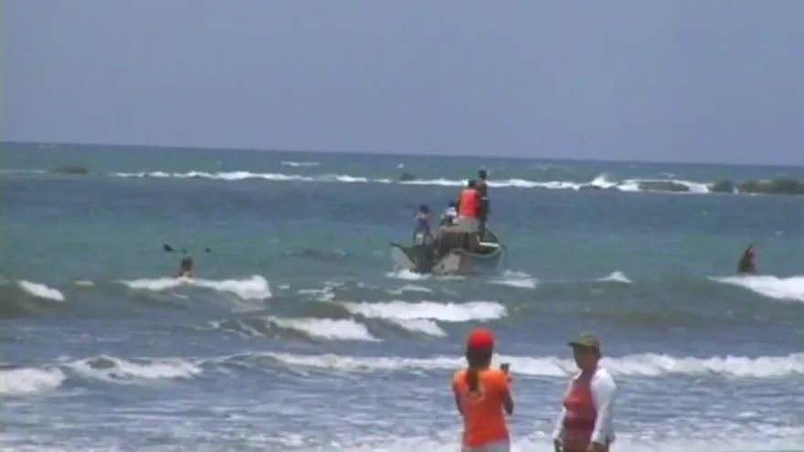 Investigan el motivo de los delfines varados en Los Santos