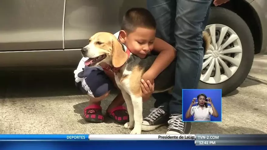 Equipo de TVN Noticias rescatan a un perrito en una quebrada