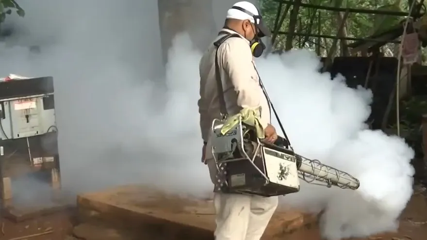 Alarma por aumento de dengue en San Miguelito.