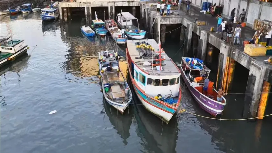 Pescadores artesanales contarán con combustible subsidiado desde este viernes