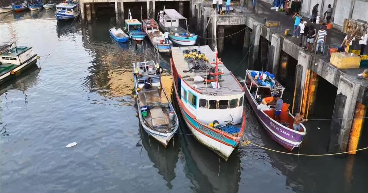 Faena en altamar cuesta hasta $660 por viaje: sector espera alivio con subsidio al combustible