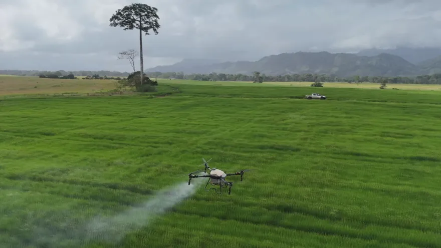 Contenido Exclusivo: Drones, aliados silenciosos