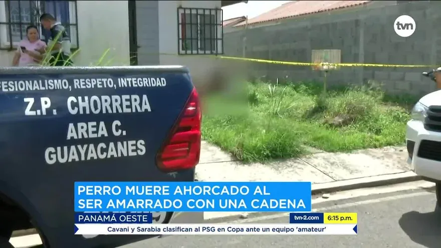 Perro muere ahorcado en El Prado