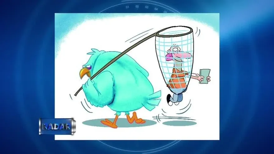 Bloque 8: Caricatura y conclusiones