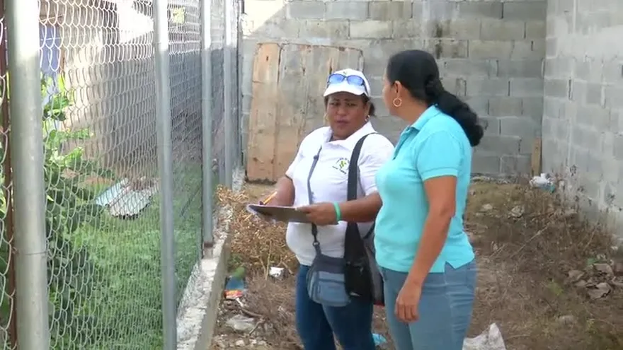 Se multará a quienes no eliminen posibles criaderos de mosquito