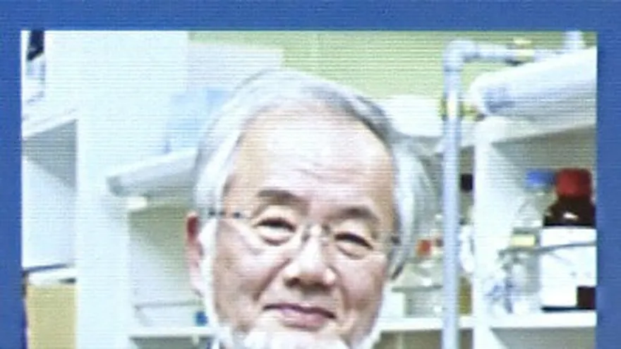 Yoshinori Oshumi.