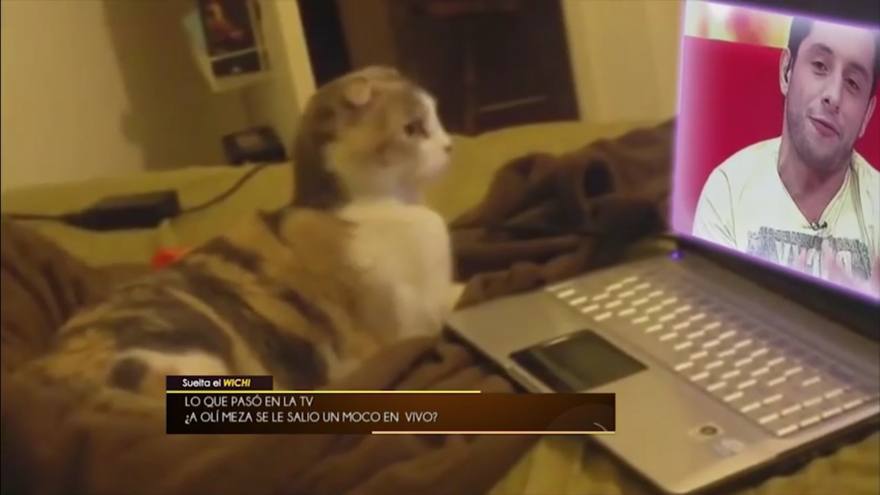 A oliver Meza se le salió un moco durante el programa