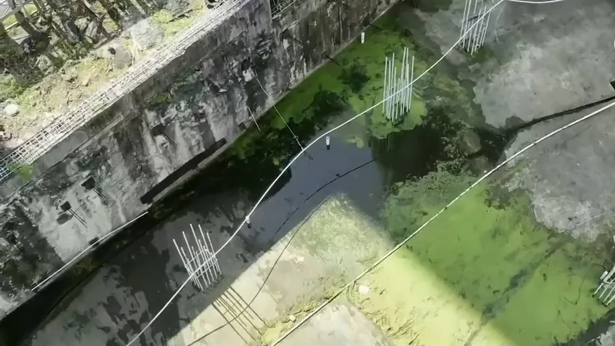 Construcción es criadero de mosquitos