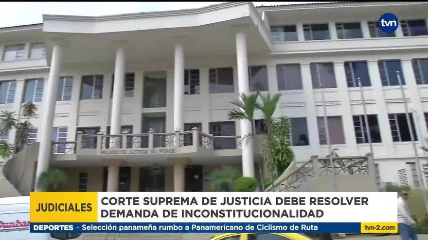 Demanda de inconstitucionalidad relacionada al caso Pinchazos