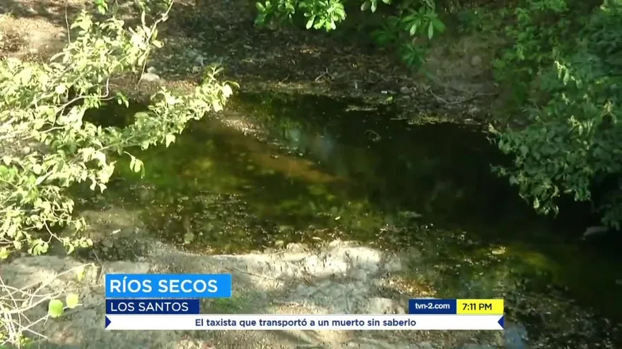 Productores preocupados por consecuencias de temporada seca