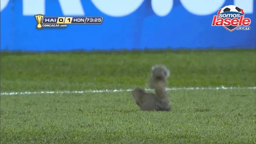 Todo el resumen del partido Honduras 2 Haití 0 en Copa Oro 2013