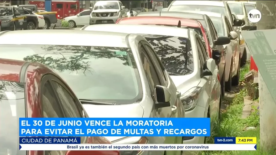 Está próximo a vencer moratoria para evitar multas y recargos en placas vehiculares