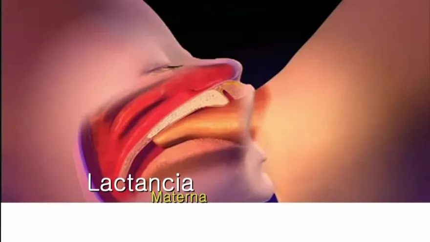 ¿Qué es la lactancia materna?