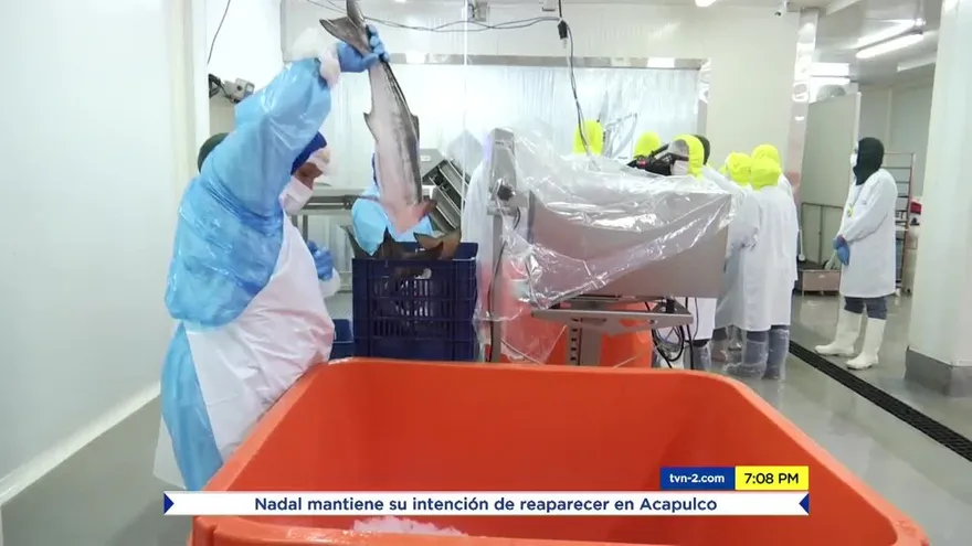 Panamá empieza con la exportación de pescado