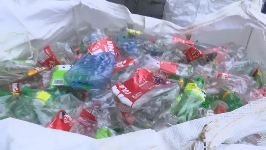 Alcaldía de San Miguelito impulsa jornada de reciclaje en Arnulfo Arias con intercambio de materiales por alimentos