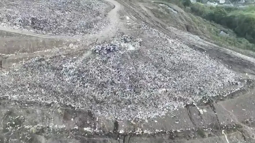 Nuevos estudios de terminarían futuro de Cerro Patacón