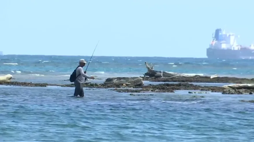 Lanzan el programa de implementación de la iniciativa 30x30