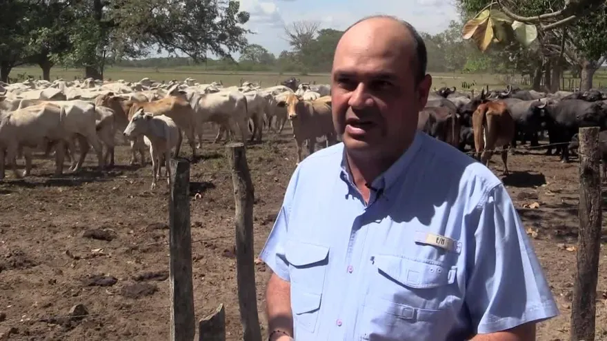El riesgoso oficio de criar ganado en Venezuela