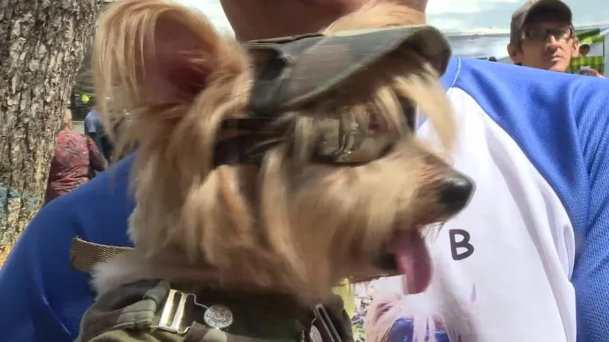 Un carnaval para las mascotas en Venezuela