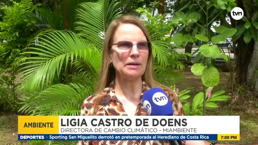 Panamá es uno de los tres países del mundo carbono negativo