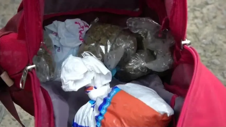 Decomisan armas de fuego y sustancias ilícitas en barraca en Santa Ana