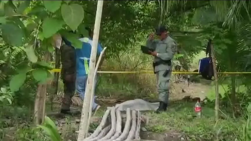 Continúan investigaciones por doble asesinato en Barú