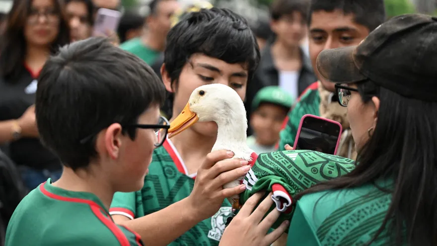 El pato Merlín (c) llamó la atención de grandes y chicos en México durante el Mundial 2026