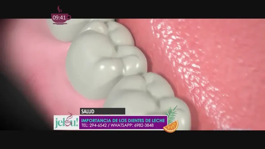 Conoce la verdadera importancia de los dientes de leche. ¡Te sorprenderás!