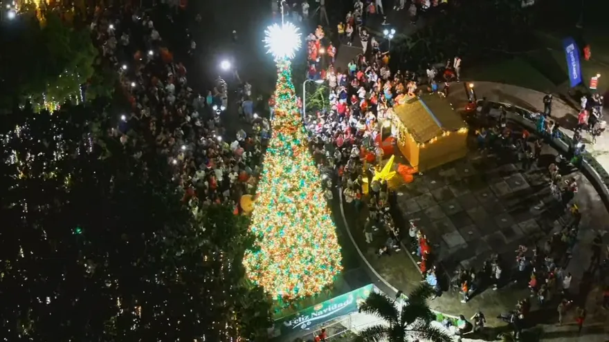 Encendido del árbol de Navidad en el Parque Omar