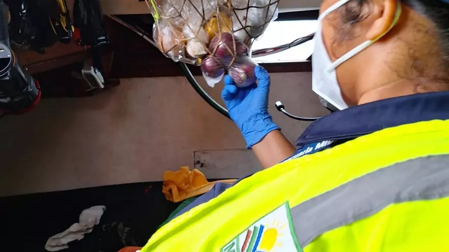 vigilancia sanitaria en Bocas del Toro