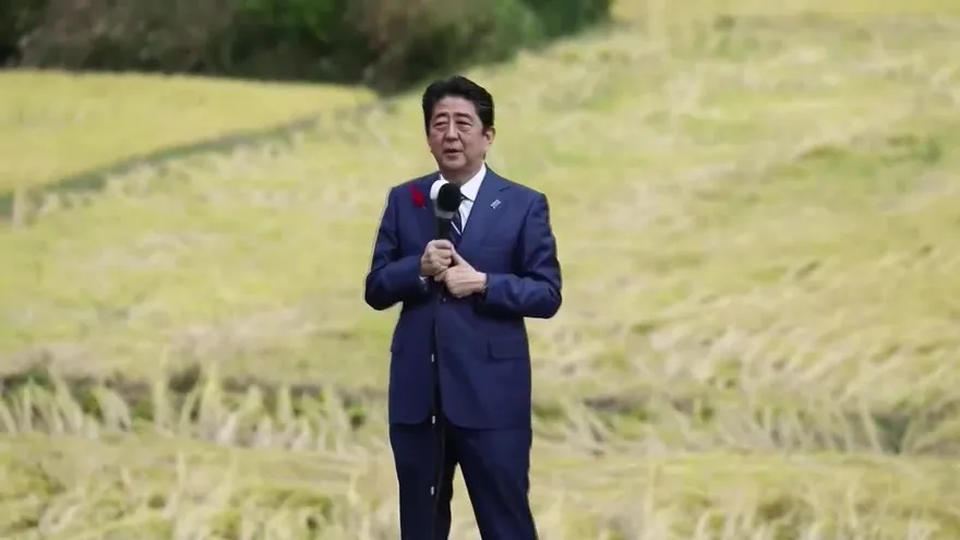 El partido del primer ministro Abe gana las elecciones en Japón, según sondeo