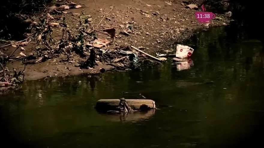 ¿Qué tanto daño  haces con tirar un pedazo de basura a la calle?