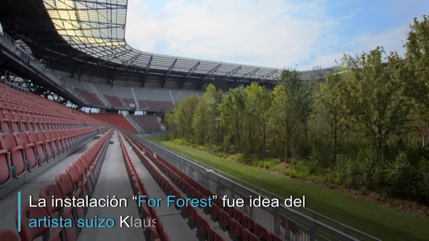 Estadio de fútbol convertido en bosque