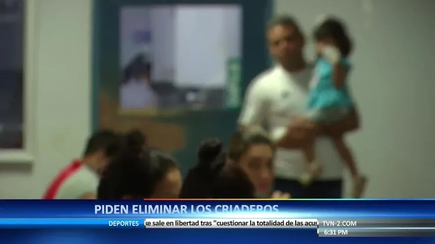 Aumentan casos de dengue en Panamá