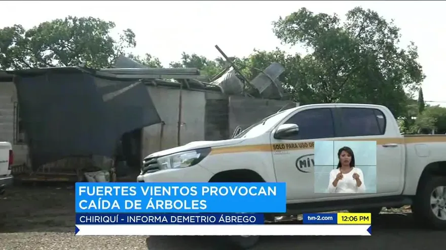 Vendaval provoca caída de árboles en Chiriquí