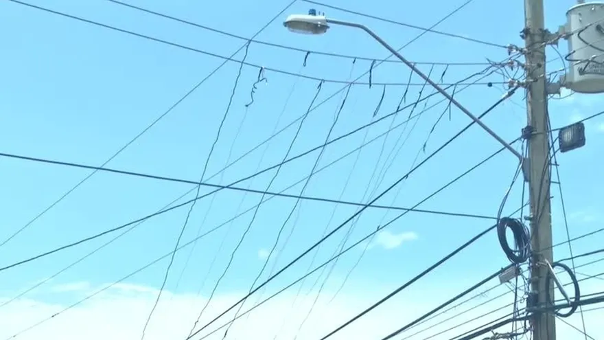 Telarañas peligrosas