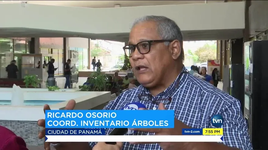 Herramienta tecnológica revelará estado de los árboles en la ciudad