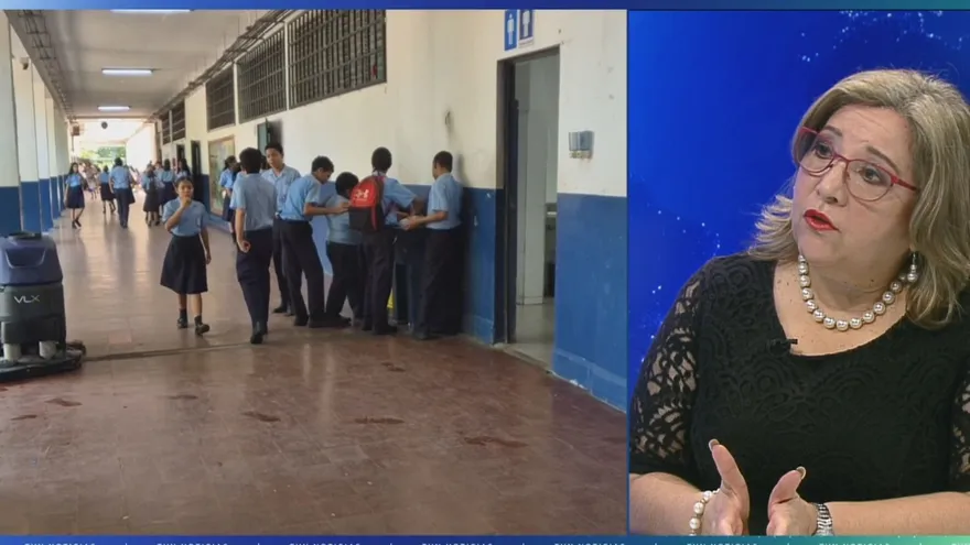 Agnes de Cotes, viceministra académica de educación