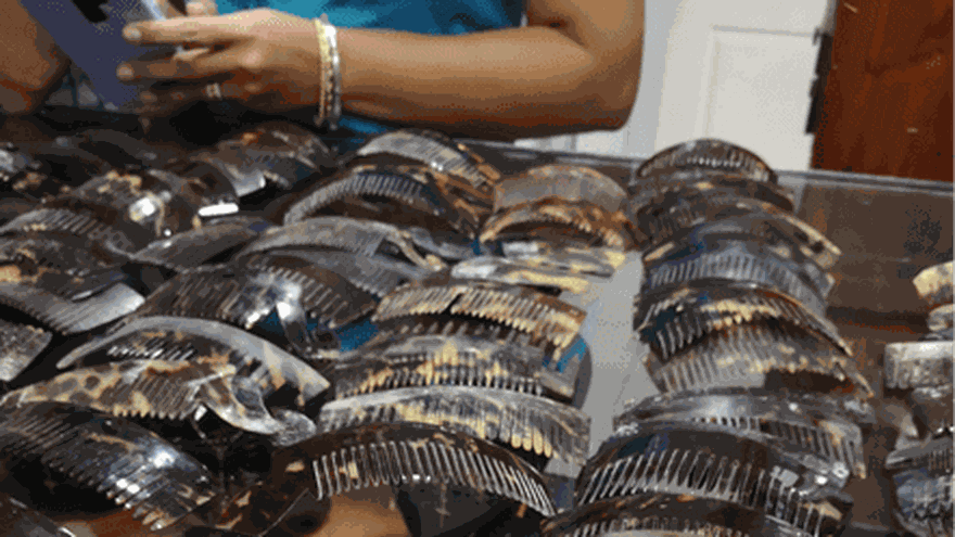 Allanan locales en centro comercial por vender productos de carey