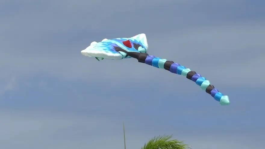 ¡Colores, viento y tradición! La Chorrera celebró el Festival de Cometas y Pandero este domingo