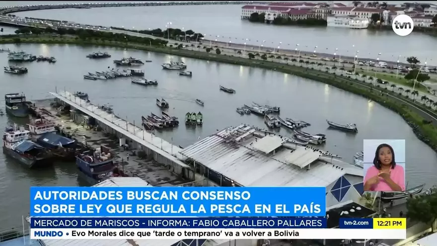 Proyecto de ley enfrenta a pescadores con autoridades